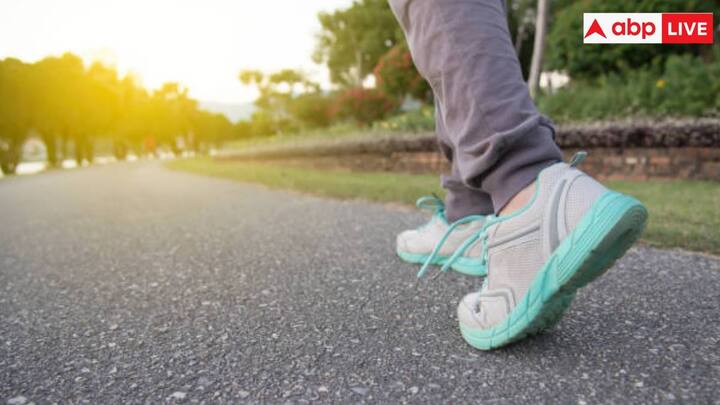 भोजन के बाद हल्की सैर करने से बड़े भोजन के बाद होने वाली सुस्ती को रोका जा सकता है. यह आपके पूरे शरीर में ऑक्सीजन के संचार में मदद करता है, जिससे आप सुस्त होने के बजाय अधिक ऊर्जावान और सतर्क महसूस करते हैं.