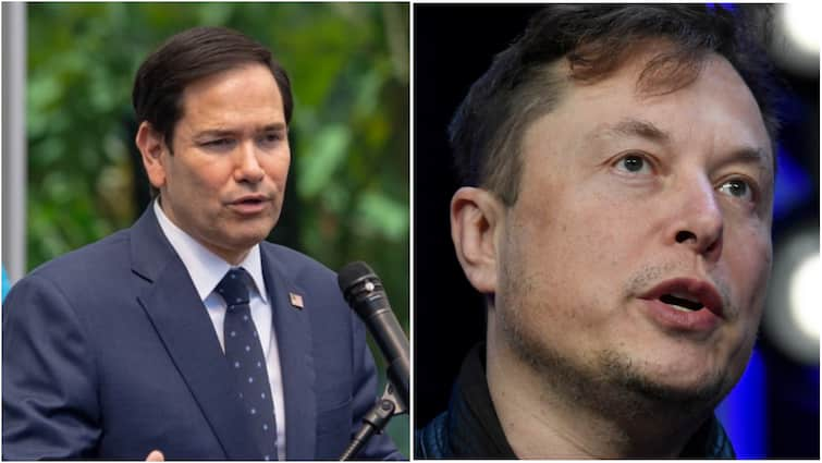 Elon Musk Marco Rubio Clash Over Firings In Explosive Cabinet Meeting Donald Trump Reacts To Report