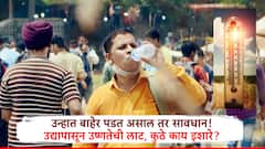 उन्हात बाहेर पडताय? सावधान! IMD चा उद्यापासून तीव्र उष्णतेच्या लाटेचा इशारा, कुठे अलर्ट दिलेत, पहा