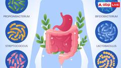 आंतों में सूजन से परेशान हैं? जानिए इसके लक्षण और राहत पाने के लिए क्या खाना है सही