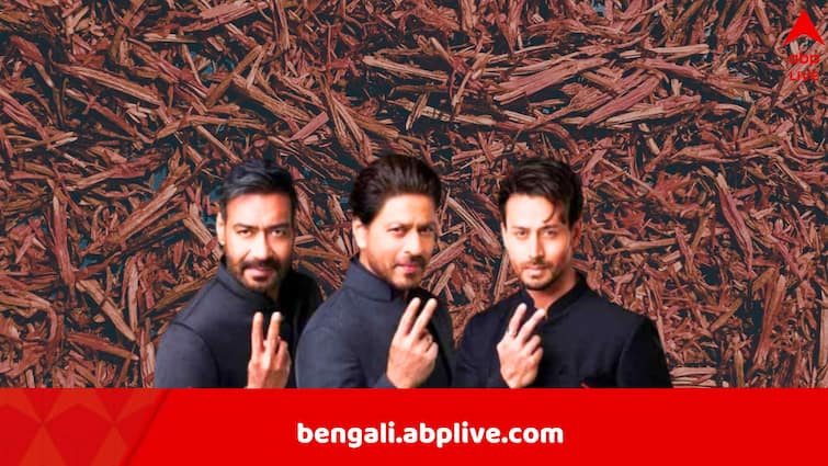 Shah Rukh Khan Ajay Devgn Tiger Shroff get legan notice over misleading Pan Masala Advertisement Pan Masala Advertisement: কেশরের নামে গুটখা বেচে লোক ঠকাচ্ছেন? আইনি বিপাকে শাহরুখ-অজয়-টাইগার