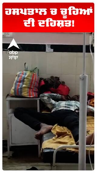 Rats in Hospital Ward | Viral Video | ਹਸਪਤਾਲ ਚ ਚੂਹਿਆਂ ਦੀ ਦਹਿਸ਼ਤ! | Madhya Pardesh | #shorts