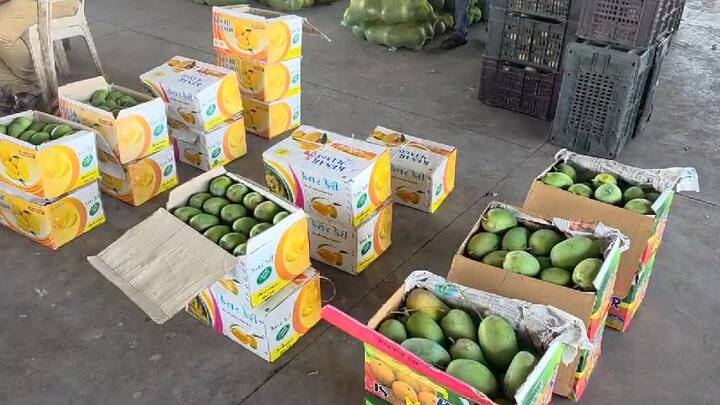 રાજકોટ: ઉનાળાથી શરુઆત સાથે જ કેરી રસિકો તેનુ આતુરતાથી રાહ જોતા હોય છે. ત્યારે હવે રાજકોટ જિલ્લાના ગોંડલ માર્કેટ યાર્ડમાં કેસર કેરીની એન્ટ્રી થઈ ગઈ છે.   ઉનાળાના પ્રારંભ સાથે જ ફળ અને શાકભાજી માર્કેટ યાર્ડમાં કેસર કેરી અને રત્નાગીરીની હાફુસ કેરીનું આગમન થયું છે.