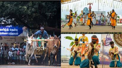 coimbatore isha tamil thembu festival rekhla festival know full details here Isha: ஈஷாவில் தமிழ் தெம்பு திருவிழா அனல் பறந்த ரேக்ளா பந்தயம் - நிறைவு மாட்டுச் சந்தை