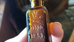 Most Dangerous Poison In World: साइनाइड नहीं ये है दुनिया का सबसे खतरनाक जहर, एक चुटकी भी सुला देगी मौत की नींद