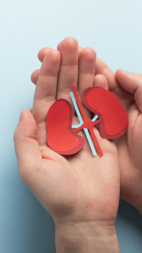 આ સંકેતો હોય તો સમજી જાઓ કે તમારી કિડની ખતરામાં છે!