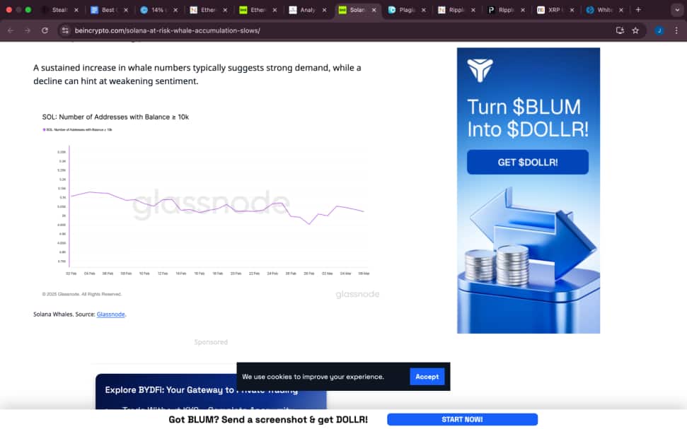 Best Crypto To Invest In: XRP, SOLANA, CARDANO, REMITTIX & ETHEREUM