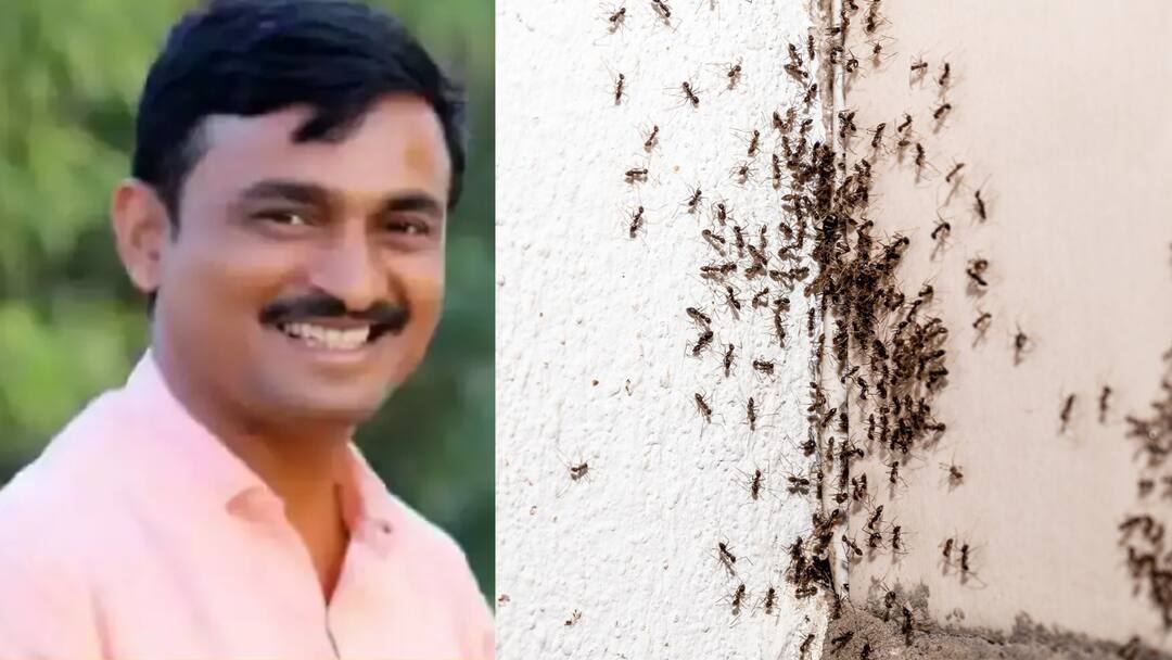 Santosh Deshmukh case: संतोष देशमुखांनी घरातील मुंग्यांवर पावडर टाकून दिली नाही चिकटपट्टी लावली, वैभवीने सांगितला 'तो' किस्सा Santosh Deshmukh case beed crime Dhananjay Deshmukh and Vaibhavi Deshmukh slams beed police Santosh Deshmukh case: संतोष देशमुखांनी घरातील मुंग्यांवर पावडर टाकून दिली नाही चिकटपट्टी लावली, वैभवीने सांगितला 'तो' किस्सा