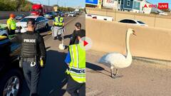 ट्रैफिक रोका और सड़क पर लगा दिया तगड़ा जाम, इस चीज को पकड़ने में छूट गए पुलिस टीम के पसीने