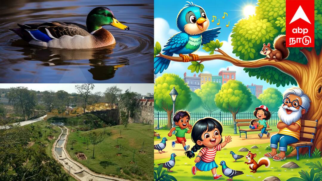 Bird Park : குதுகலத்தில் மக்கள்..  விரைவில் பறவைகள் பூங்கா...! எங்கு தெரியுமா ?