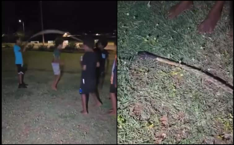 Viral Video Of Australian Kids Using A Dead Snake As A Skipping Rope Sparks Online Debate