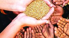 दिल्ली में रहने वालों के बनते हैं इतने तरह के राशन कार्ड, जानें आपके पास कौन सा है