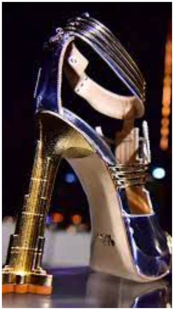 ये कंपनी बनाती है सबसे महंगा जूता