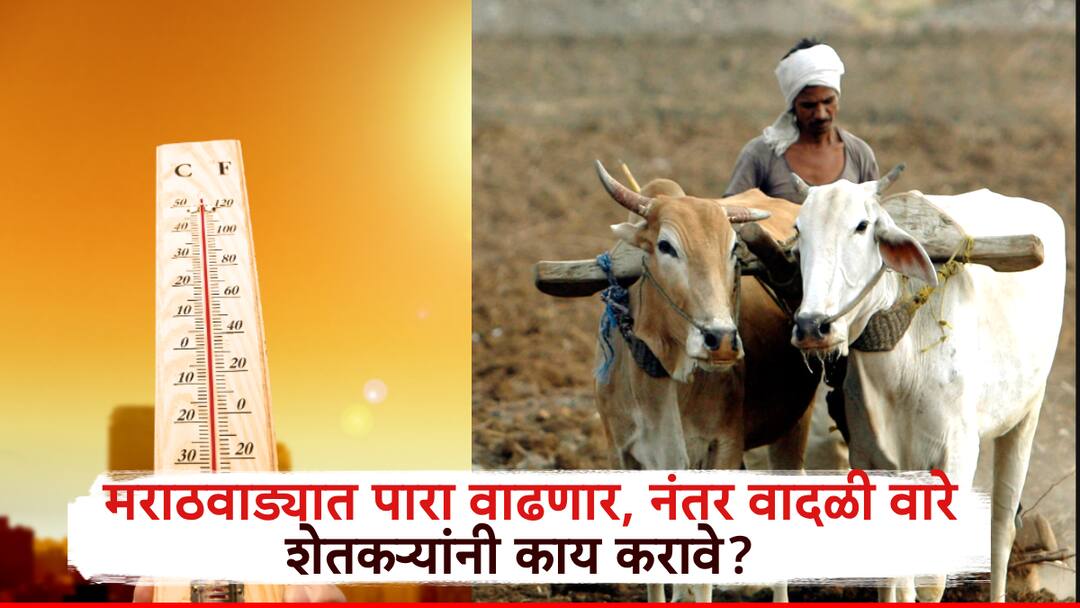 Marathwada Weather: मराठवाड्यात तापमान आणखी वाढणार, त्यानंतर वादळी वाऱ्यांची शक्यता, शेतकऱ्यांनी काय करावे? वाचा सविस्तर Marathwada Weather Temperature to Rise Further Stormy Winds Expected What Should Farmers Do Read Details Marathwada Weather: मराठवाड्यात तापमान आणखी वाढणार, त्यानंतर वादळी वाऱ्यांची शक्यता, शेतकऱ्यांनी काय करावे? वाचा सविस्तर