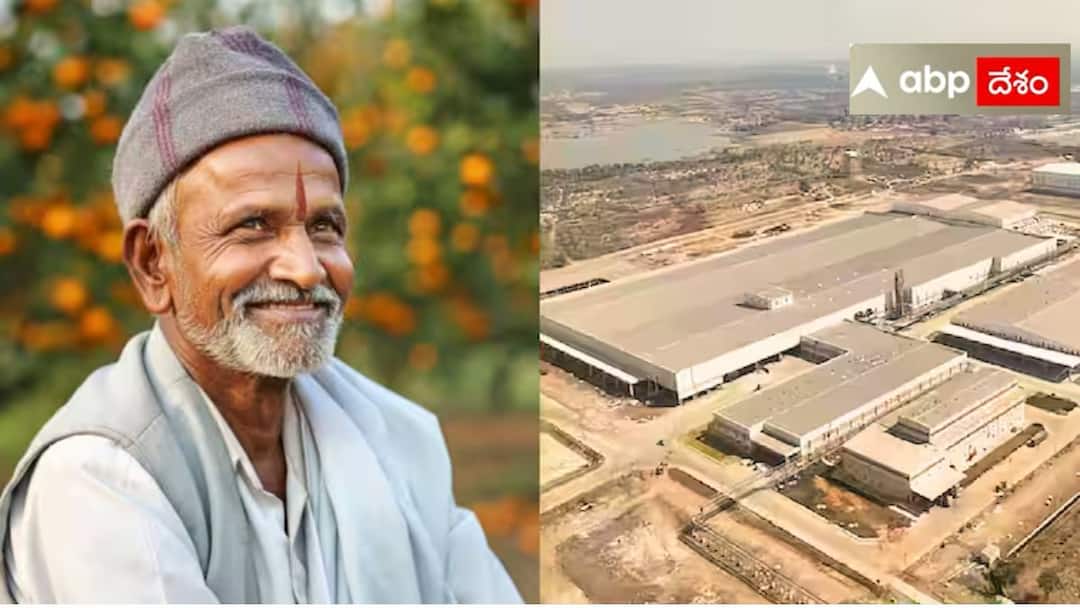 Patanjali Mega Food Plant Assures Fair Price for Low Grade Orranges in Vidharbha Patanjali Food Park: పతంజలి ప్లాంట్‌తో విదర్భ రైతుల‌లో ఆనందం.. తక్కువ రకం నారింజలకు 22/KG ధర