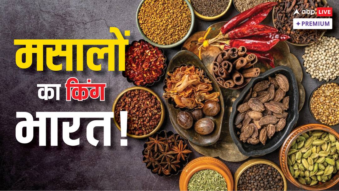 मसालों का बादशाह, फिर भी ग्लोबल मार्केट में क्यों पिछड़ा भारत? India largest spice producer but holds just 0.7 pc of global seasoning market ABPP मसालों का बादशाह, फिर भी ग्लोबल मार्केट में क्यों पिछड़ा भारत?