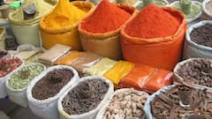 मसालों का बिजनेस करने के लिए कहां से मिलता है लाइसेंस? जान लीजिए अपने काम की बात