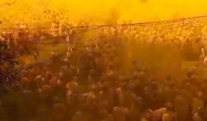 असंख्य भक्त करत असलेल्या भंडाऱ्याच्या उधळणीमुळे जिकडे  पाहावे तिकडे पिवळा धमक असा जनसागर दिसत होता.