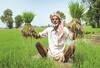 Agriculture Production: ਕਿਸਾਨਾਂ ਦੀ ਬੱਲੇ-ਬੱਲੇ! ਕਣਕ, ਝੋਨੇ ਤੇ ਮੱਕੀ ਬਾਰੇ ਖੇਤੀਬਾੜੀ ਮਹਿਕਮੇ ਦਾ ਵੱਡਾ ਖੁਲਾਸਾ
