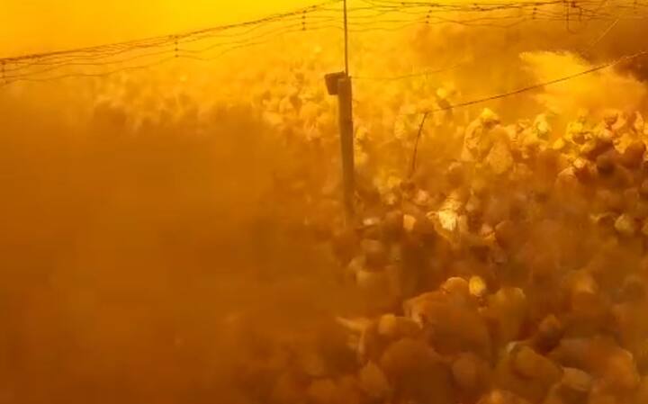 कर्नाटक महाराष्ट्र राज्यातील भाविकांचे श्रद्धास्थान व कुलदैवत असलेल्या केरुर येथील श्री मलकारी सिद्धेश्वर व श्री अरण्यसिद्धेश्वर  देवाची यात्रा लाखो भाविकांच्या उपस्थितीत उत्साहात  साजरी