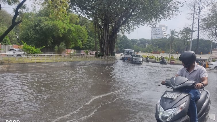 Chennai Rains Sudden Downpour Causes Waterlogged Roads Many Areas Chennai Rains: இந்த மழைக்கே இப்படியா? குளம்போல மாறிய சாலைகள் - புலம்பும் சென்னைவாசிகள்!