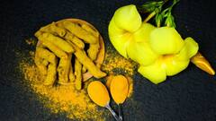 होली पर ऐसे बनाएं ऑर्गेनिक गुलाल, घर पर रखी इन चीजों का करें इस्तेमाल