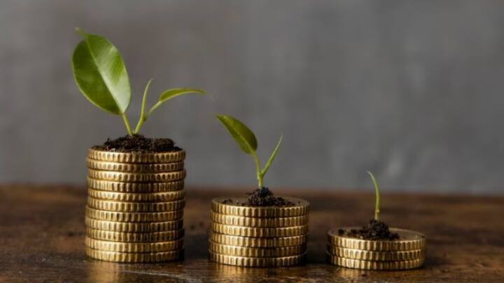 এই ধরনের প্রকল্পে মহিলা বিনিয়োগকারীরা টাকা রাখতে পারেন এবং একটি নির্দিষ্ট হারে সুদ পান। মেয়াদ শেষে নিশ্চিত টাকার রিটার্ন মেলে।