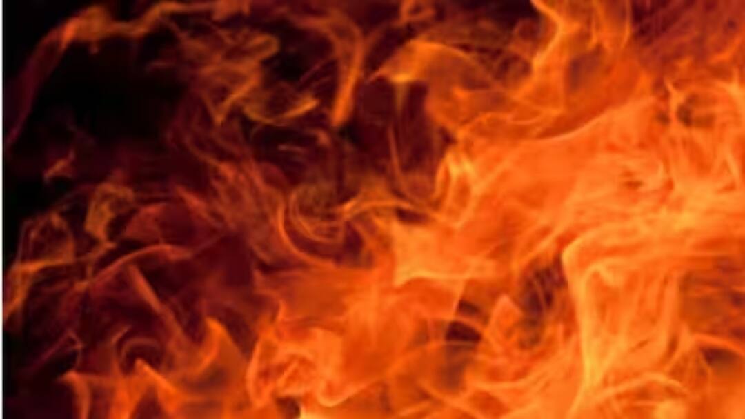 Delhi Fire broke out in Anand Vihar slum  3 burnt alive ann Delhi Fire: दिल्ली में दर्दनाक हादसा, आनंद विहार की झुग्गी में लगी भीषण आग, 3 की जिंदा जलकर मौत