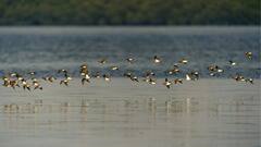 River Water Pollution Measurement: किसी नदी का पानी पीने या नहाने लायक है या नहीं, ये कैसे होता है तय?