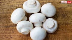विटामिन डी से भरपूर मशरूम कैल्शियम की कमी को करेगा दूर, जानें इसके खाने का तरीका