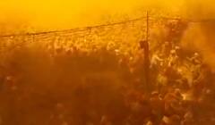 मलकारी सिद्धेश्वर आणि अरण्यसिद्धेश्वर देवाची यात्रा उत्साहात साजरी, कर्नाटकस महाराष्ट्रातील लाखो भाविकांच्या उपस्थिती