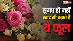 मोगरे से लेकर गुलाब तक, खाने में होता है इन तमाम फूलों का इस्तेमाल