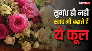 मोगरे से लेकर गुलाब तक, खाने में होता है इन तमाम फूलों का इस्तेमाल