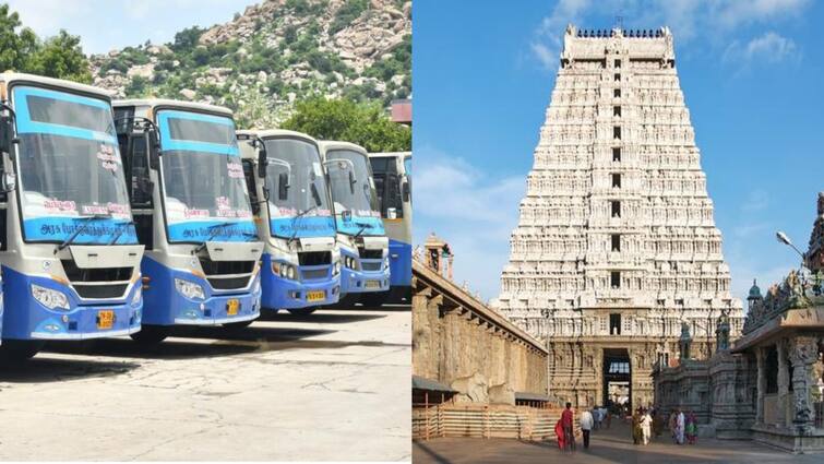 masi month pournami 350 special bus to thiruvannamalai devotees know full details Thiruvannamalai: பெளர்ணமி; திருவண்ணாமலைக்கு 350 சிறப்பு பேருந்துகள்! பக்தர்களுக்காக நாளை ஏற்பாடு!