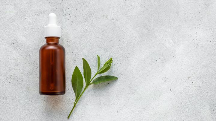 Tea Tree Oil: Tea tree oil helps to cleanse the skin and prevents any rashes or breakouts due to the synthetic Holi colors due to its antibacterial properties. It is best when a few drops are mixed with coconut or almond oil.  (Image Source: Canva)