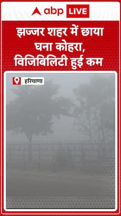Haryana News: Dense Fog Engulfs Izzhaar City, Visibility Severely Reduced