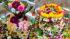 बिहार: विवाहोत्सव के बाद से ही यहां होली खेलने लगते हैं 'महादेव', रंग, अबीर और भस्म से होता है महाशृंगार