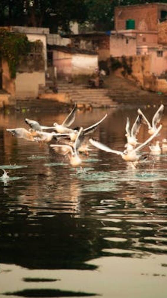 दिल्ली के मजनू का टीला में क्या कोई मजनू रहता था?