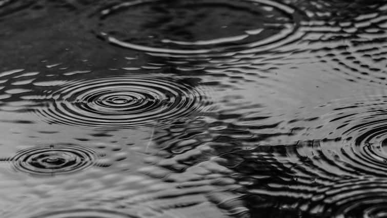 Chennai, Other Parts Of Tamil Nadu Under Orange & Yellow Alerts As IMD Forecasts Heavy Rainfall