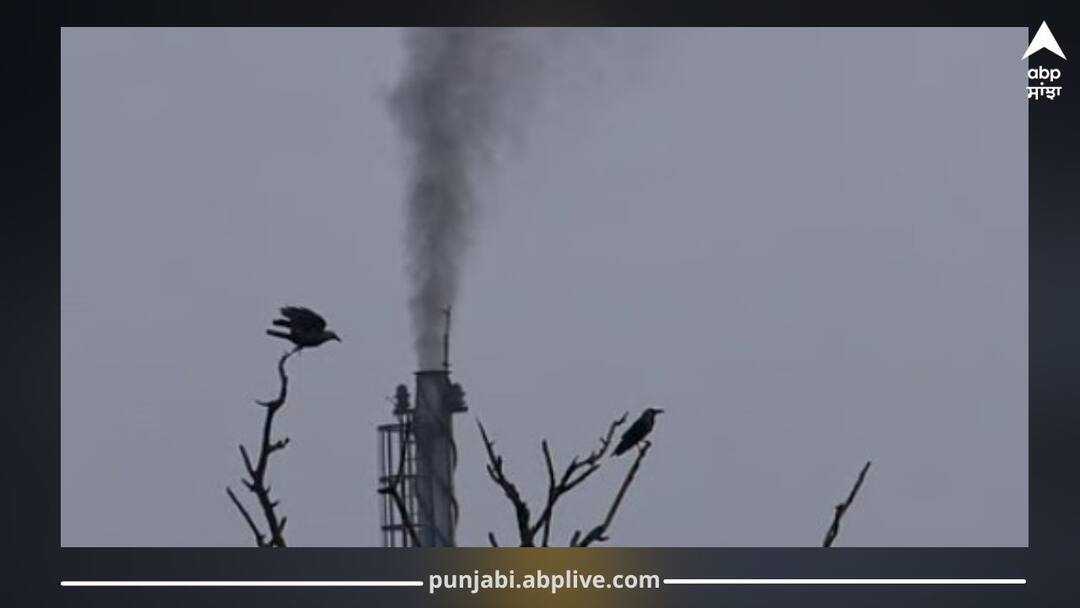 World's 20 Most Polluted Cities: ਦੁਨੀਆ ਦੇ 20 ਸਭ ਤੋਂ ਪ੍ਰਦੂਸ਼ਿਤ ਸ਼ਹਿਰਾਂ 'ਚੋਂ 13 ਭਾਰਤ ਦੇ, ਦਿੱਲੀ ਸਭ ਤੋਂ ਪ੍ਰਦੂਸ਼ਿਤ ਰਾਜਧਾਨੀ, ਗੰਦੇ ਸ਼ਹਿਰਾਂ ਦੀ ਸੂਚੀ 'ਚ ਪੰਜਾਬ ਦੇ ਇਸ ਸ਼ਹਿਰ ਦਾ ਨਾਂਅ ਵੀ ਸ਼ਾਮਿਲ 13 Out of the World's 20 Most Polluted Cities Are in India; Delhi the Most Polluted Capital, This Punjab City Also on the List World's 20 Most Polluted Cities: ਦੁਨੀਆ ਦੇ 20 ਸਭ ਤੋਂ ਪ੍ਰਦੂਸ਼ਿਤ ਸ਼ਹਿਰਾਂ 'ਚੋਂ 13 ਭਾਰਤ ਦੇ, ਦਿੱਲੀ ਸਭ ਤੋਂ ਪ੍ਰਦੂਸ਼ਿਤ ਰਾਜਧਾਨੀ, ਗੰਦੇ ਸ਼ਹਿਰਾਂ ਦੀ ਸੂਚੀ 'ਚ ਪੰਜਾਬ ਦੇ ਇਸ ਸ਼ਹਿਰ ਦਾ ਨਾਂਅ ਵੀ ਸ਼ਾਮਿਲ