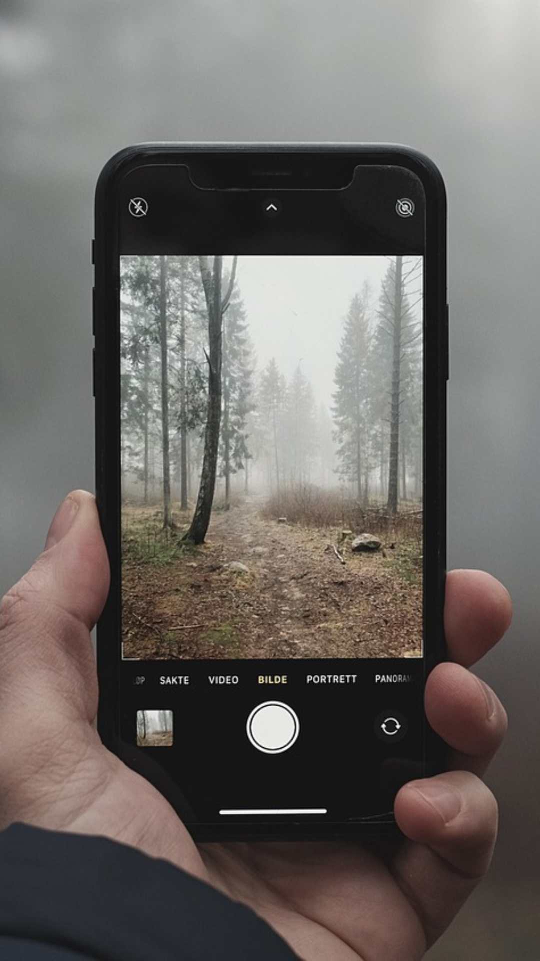 iPhone का Quad-Pixel Sensor 4 पिक्सल को मिलाकर ज्यादा रोशनी कैप्चर करता है जिससे कम रोशनी में भी शानदार तस्वीरें आती हैं.
