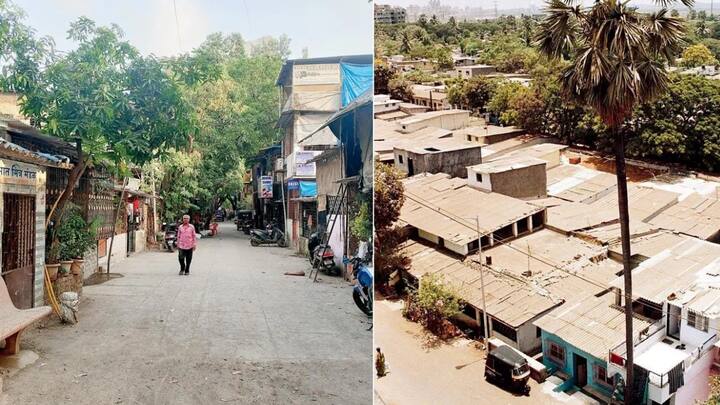 या प्रकल्पाच्या निविदेतील अटीनुसार एकूण क्षेत्राच्या 13.29 टक्के क्षेत्रापेक्षा अधिक क्षेत्रावर 3 लाख 83 हजार चौरस मीटर क्षेत्रावर घरे बांधून देणाऱ्या कंपनीस कंत्राट बहाल केले जाणार होते. त्यानुसार अदानी प्रॉपर्टीजने 13.78 टक्के अर्थात 3 लाख 97 हजार 100 चौ. मीटर जागेवर म्हाडास घरे बांधून देण्याची तयारी दर्शविली.