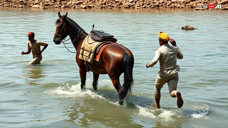 Horse 'Caught' For Smuggling Alcohol In Bihar's Bettiah, Cops Now Stuck With Its Care