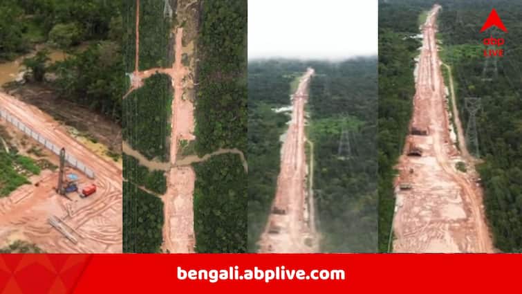 জলবায়ু সম্মেলনে আসবেন নেতারা, আমাজ়নের সংরক্ষিত অরণ্যে সারি দিয়ে গাছ সাফ করে তৈরি হচ্ছে হাইওয়ে