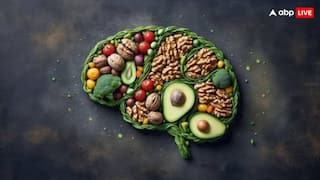 5 सप्लीमेंट्स खाएं, दिमाग को घोड़े जैसा दौड़ाएं, जानें क्या खाने से हमेशा हेल्दी रहेगा ब्रेन