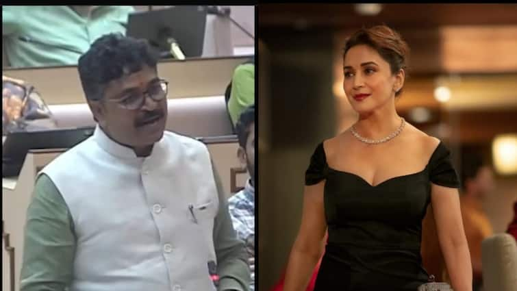 Madhuri Dixit Called 'Second-Grade Star'; Congress MLA's Remark Creates Controversy