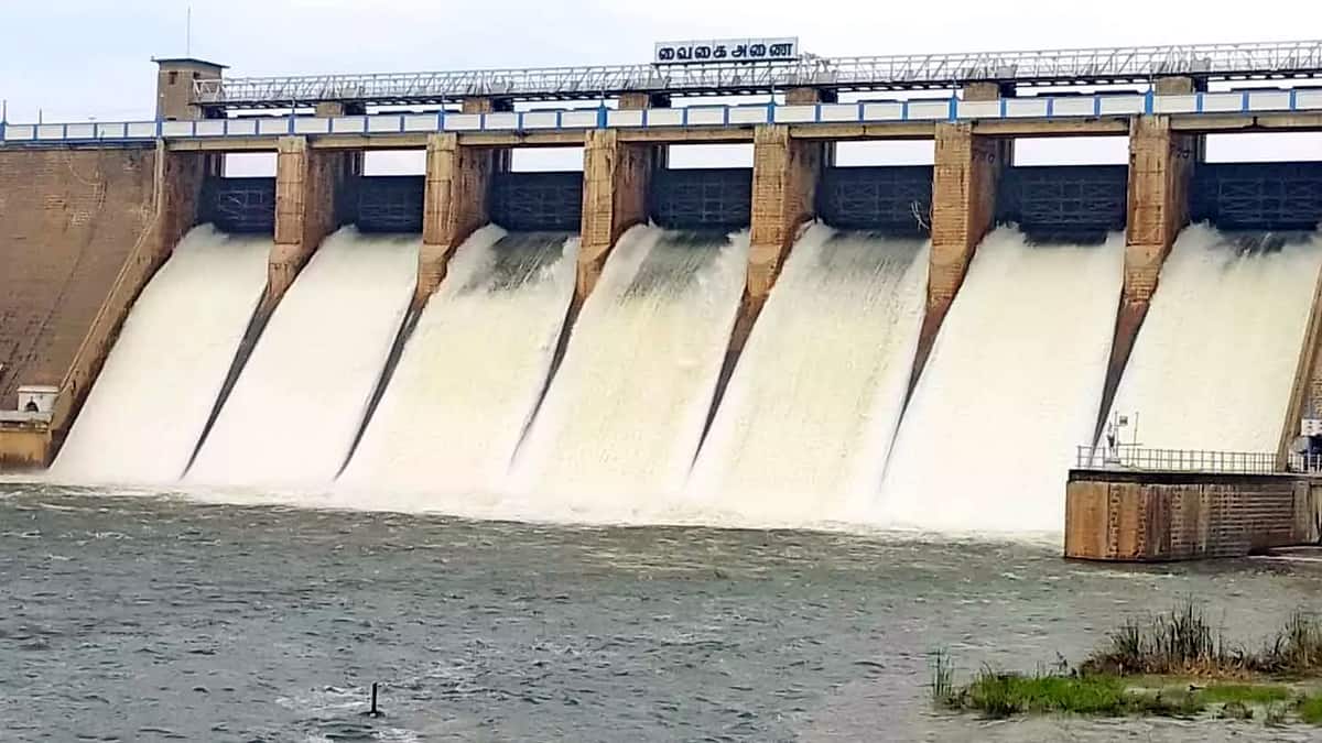 கோடை மழை பெய்தும் குறைந்து வரும் நீர்மட்டம்; தேனி மாவட்ட அணைகளின் இன்றைய நிலவரம்