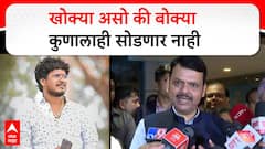 Devendra Fadnavis On Satish Bhosale:खोक्या असो की बोक्या कुणालाही सोडणारनाही,मुख्यमंत्र्यांकडून शब्द
