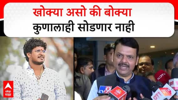 Devendra Fadnavis On Satish Bhosale:खोक्या असो की बोक्या कुणालाही सोडणारनाही,मुख्यमंत्र्यांकडून शब्द