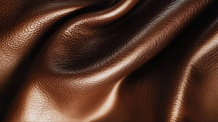 1. Leather And Faux Leather: Cleaning leather and faux leather is a breeze since gulal or food and drink colour stains do not sink into the material. It is best to use darker colours to conceal any possible stains. (Image Source: Pinterest/cvjuryresumes)